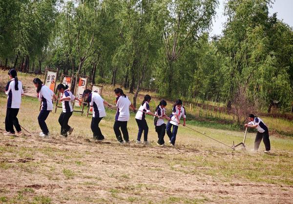 黄河研学 (12) 黄河研学 (12)